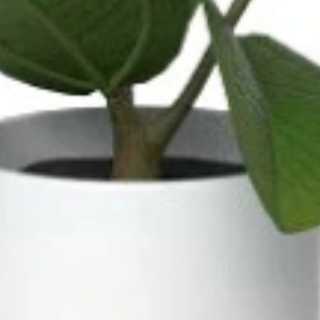 Flower & Gift Shop PureLeaf Modern Potted Plant
